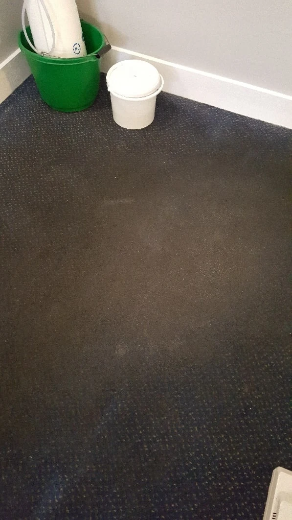 Dark carpet before cleaning